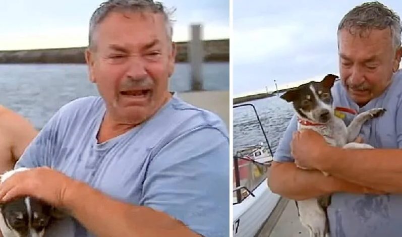 Fisker genforenet med sin mistede hund efter dramatisk redning på havet