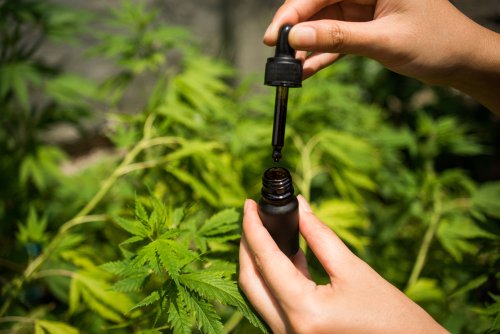 <strong>Introduktion til cannabisolie: 5 tips til at komme i gang</strong>