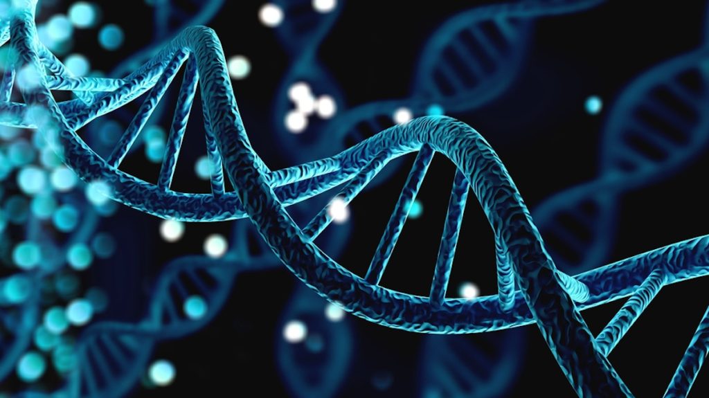 Gammel sten fra 2.900 år siden viste sig at være en DNA-tidskapsel