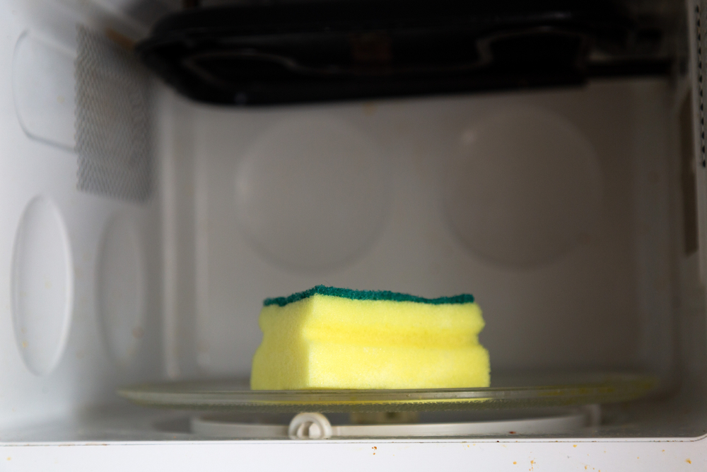 Et af de bedste tricks du nogensinde får at vide. Derfor skal du putte en fugtig køkkensvamp i mikrobølgeovnen.