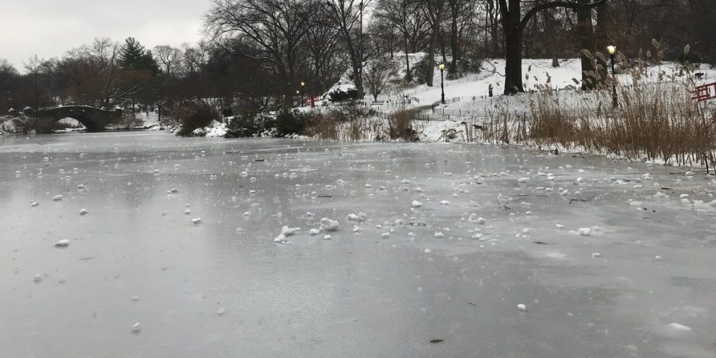 Frosten frister og politiet advarer: Lad være med at gøre det!