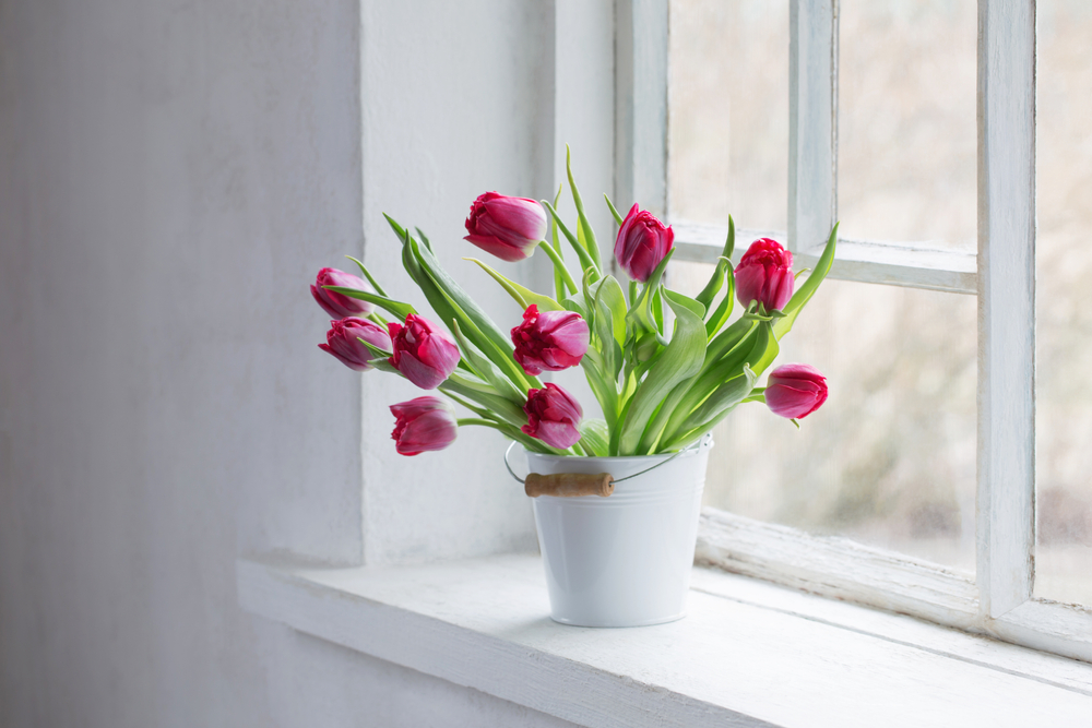 Smid det i en vase med tulipanerne: De vil være smukke i ugevis