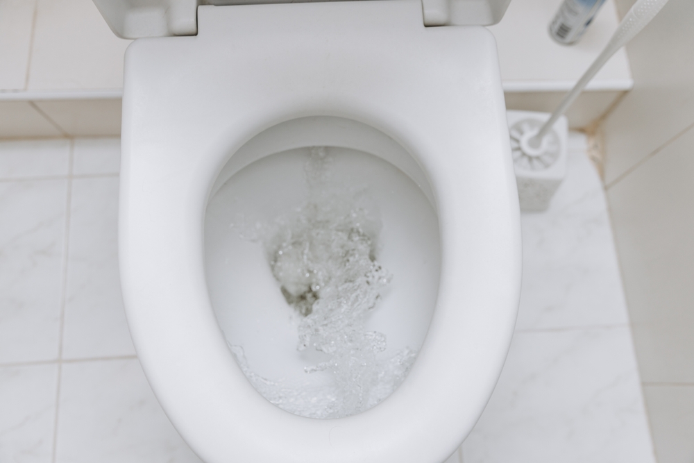 Drys dette i toiletkummen: 15 minutter senere er dit toilet så god som ny