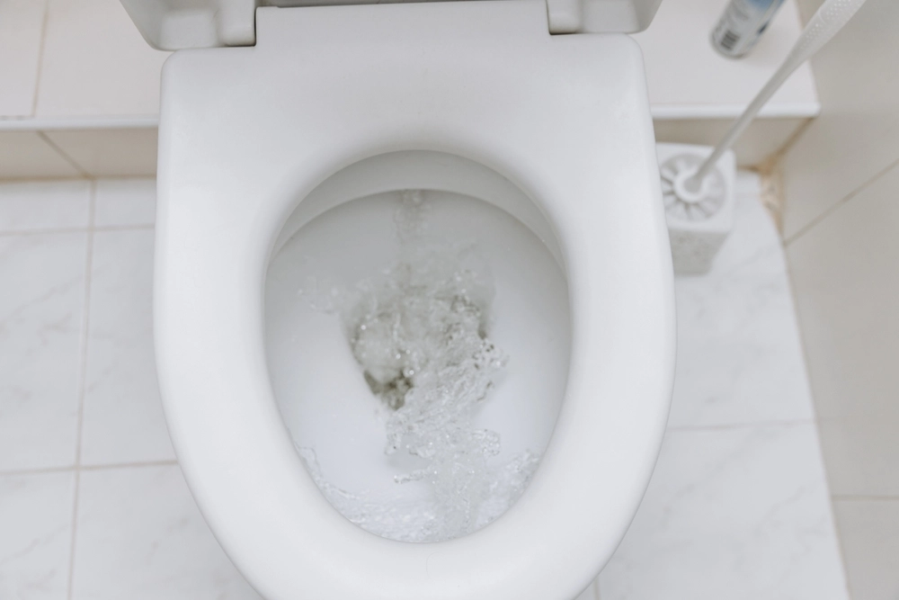 Drys dette i toiletkummen: 15 minutter senere er dit toilet så god som ny