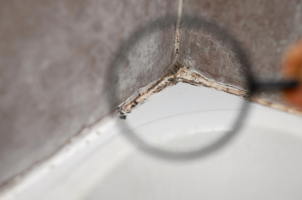 Glem alt om eddike og dyre kemikalier: Her er det simple trick, der fjerner sort skimmel fra fuger med et snuptag