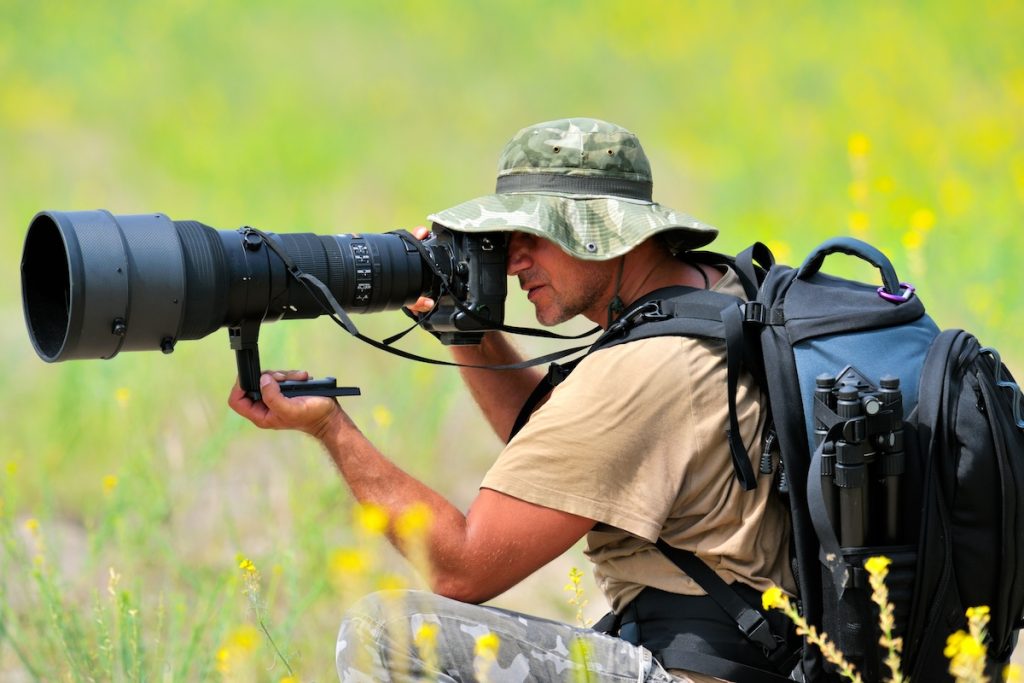 ‘Yderst sjælden’ skabning spottet af fotograf: ‘Sker én gang i livet’