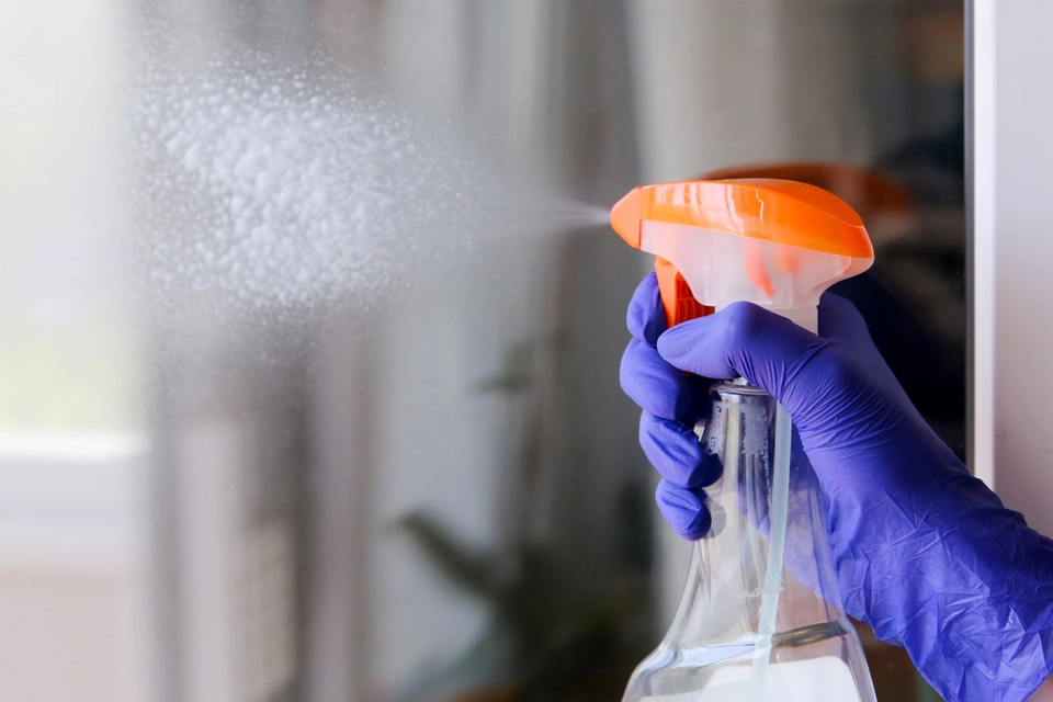 Min bedstemor sprøjtede altid eddike omkring vinduerne – først mange år senere indså jeg, at hun var et geni