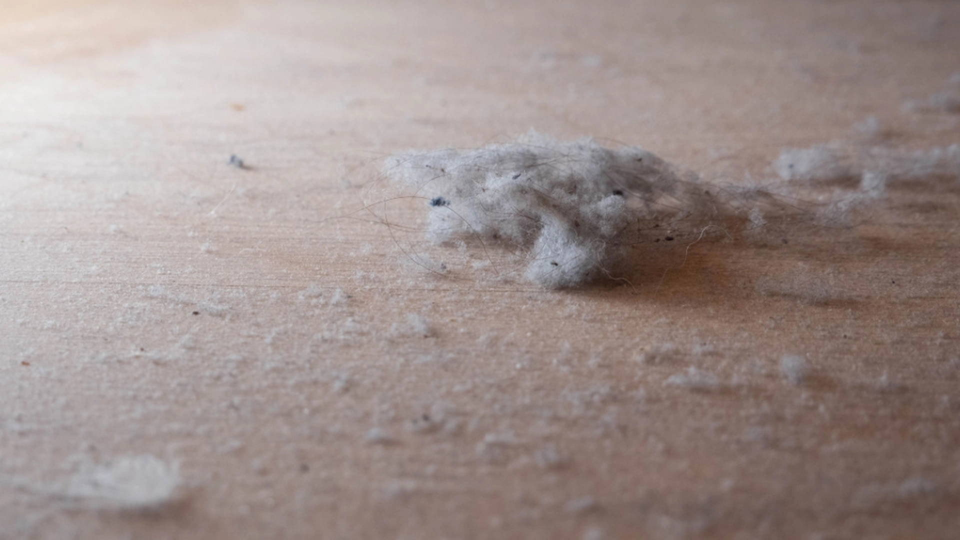 Hæld det i varmt vand og tør møblerne af: Så behøver du ikke bekymre dig om støv længere