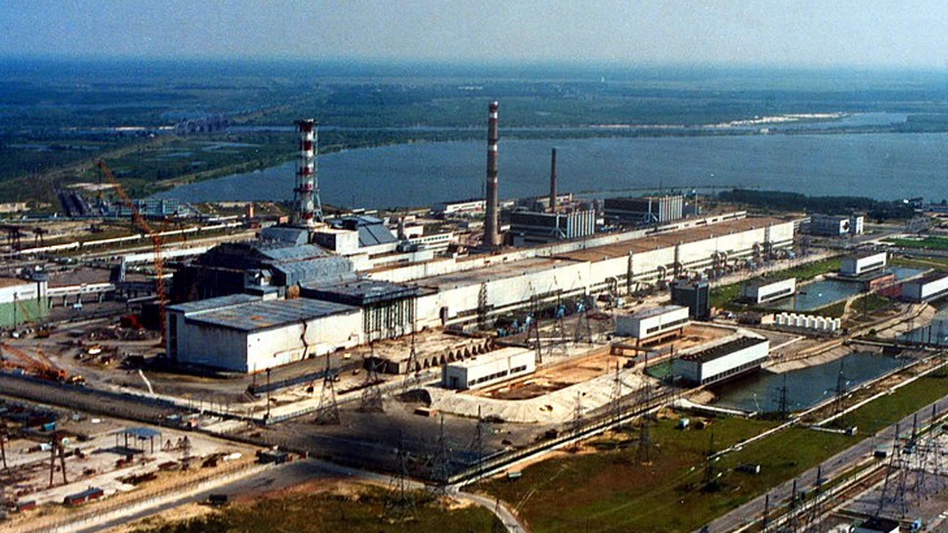 Vilde hunde udsat for stråling i Tjernobyl: Her er, hvad der sker med dem