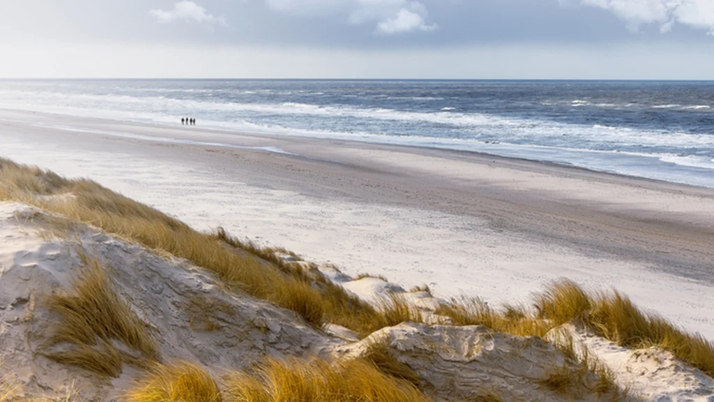 Studerende fandt ‘gylden kanonkugle’ på stranden: Han åbnede den og indså, at han havde gjort fantastisk opdagelse