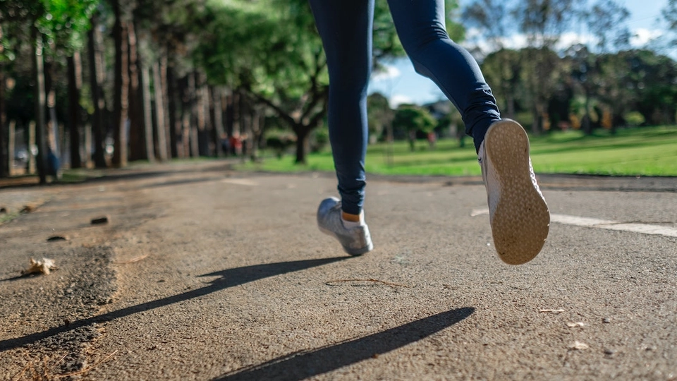 Forbedrer både blodtryk og kolesteroltal – og ny dansk studie afslører, at maksimal indsats ikke er nødvendig