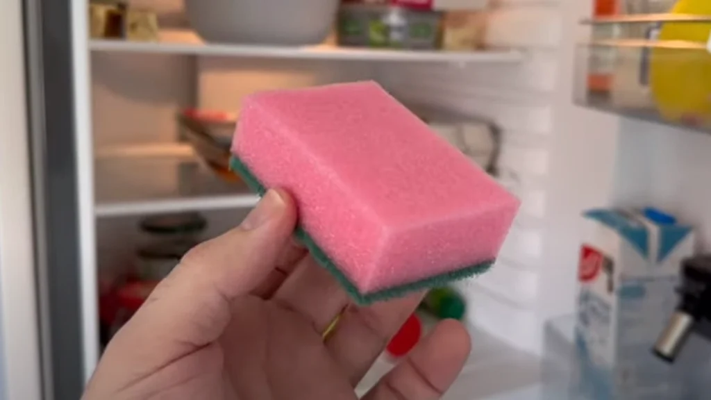 Han lægger en køkkensvamp i køleskabet: Derfor burde du gøre det samme