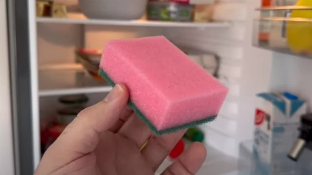 Meget få er klar over det: Dette betyder farven på din køkkensvamp