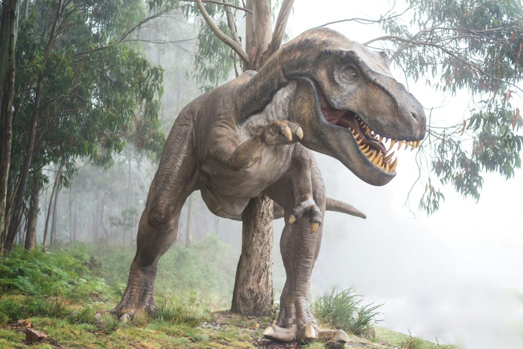 ‘Meget usædvanligt og unikt fund’: Maveindholdet fra dinosaur fundet bevaret i Alberta