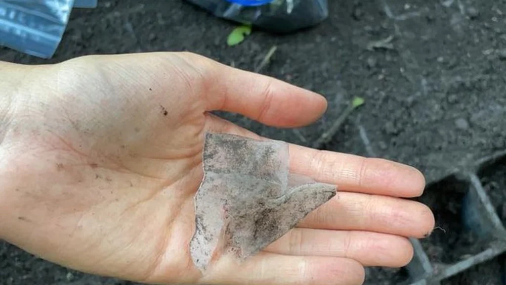 Hun placerede en tepose ned i hullet og fyldte det med jord: 1 år senere kunne hun ikke tro sine egne øjne