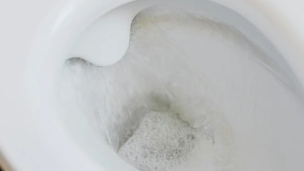 Kan skade dit toilet: Blikkenslagere advarer mod rengøringsprodukter