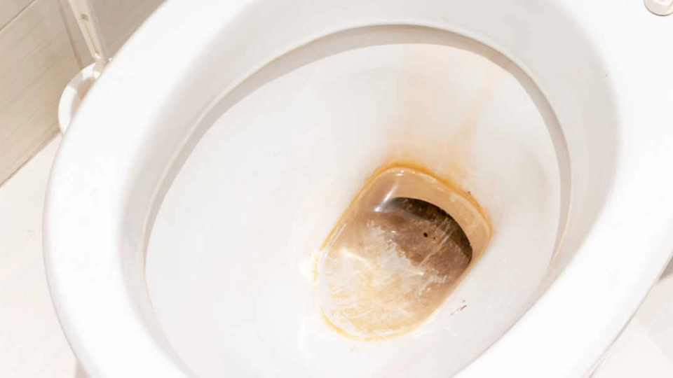 Befri dit toilet for svamp og bakterier: Brug dette overraskende råd