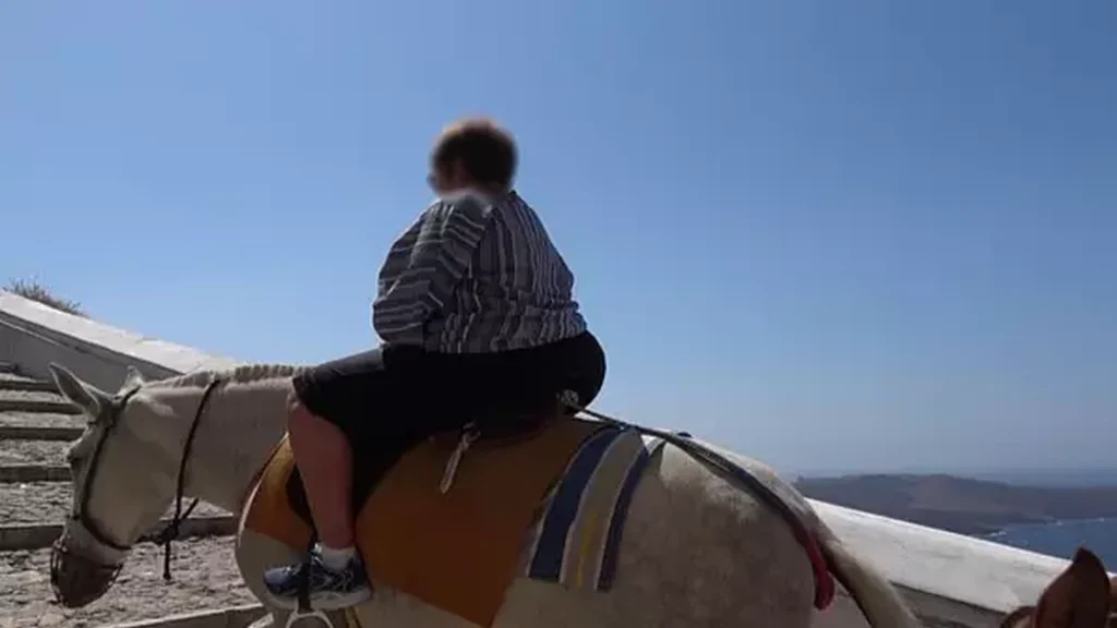 Uhyggelige billeder: Æsler tvunget til at bære overvægtige turister op ad bakke i dansk ferieparadis