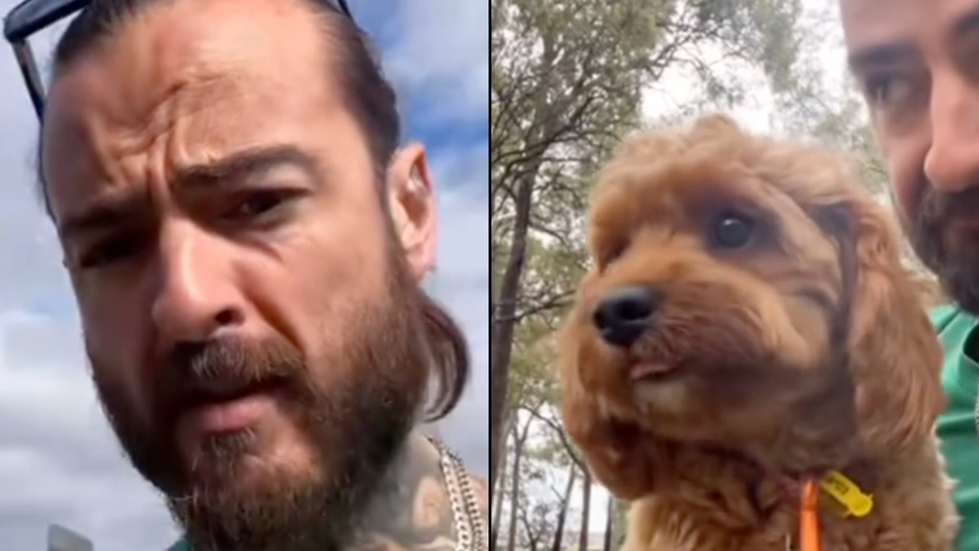 Mand efterlod sin hund hos hundepasser: Så opdagede han en video på nettet, der rystede ham