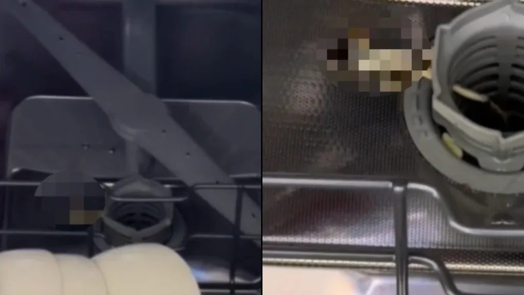 Kvinde skulle til at tømme sin opvaskemaskine – så gjorde hun en ulækker opdagelse