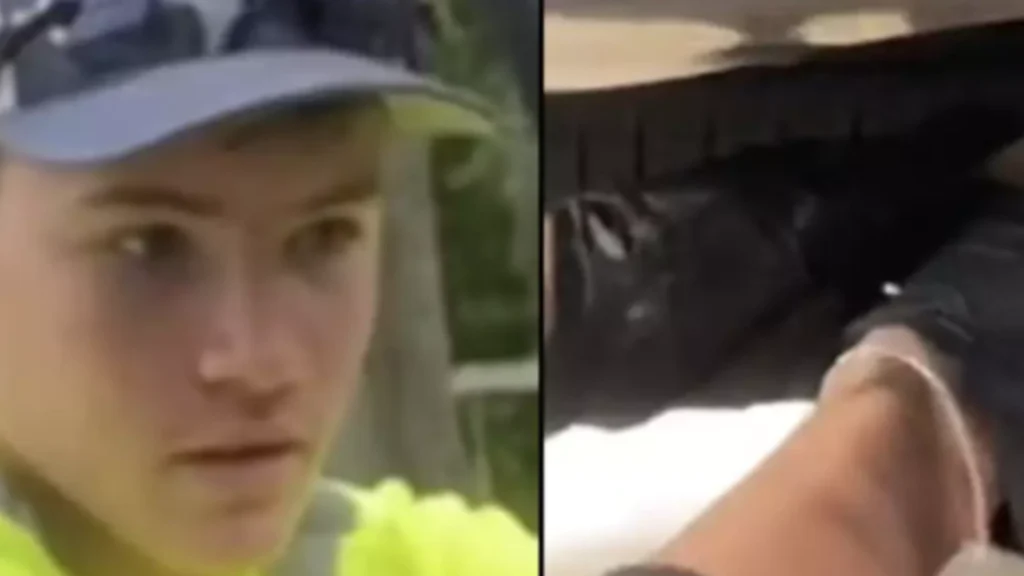 Familie gjorde skræmmende opdagelse i deres bil: Fik et kæmpe chok, da de fandt ud af, hvad det rent faktisk var