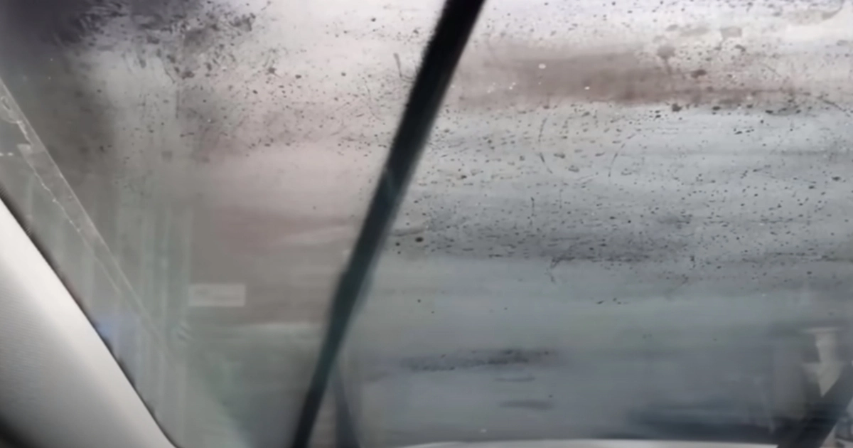 Hvordan kan man fjerne fugt fra bilen? Hjemmelavet trick løser problemet