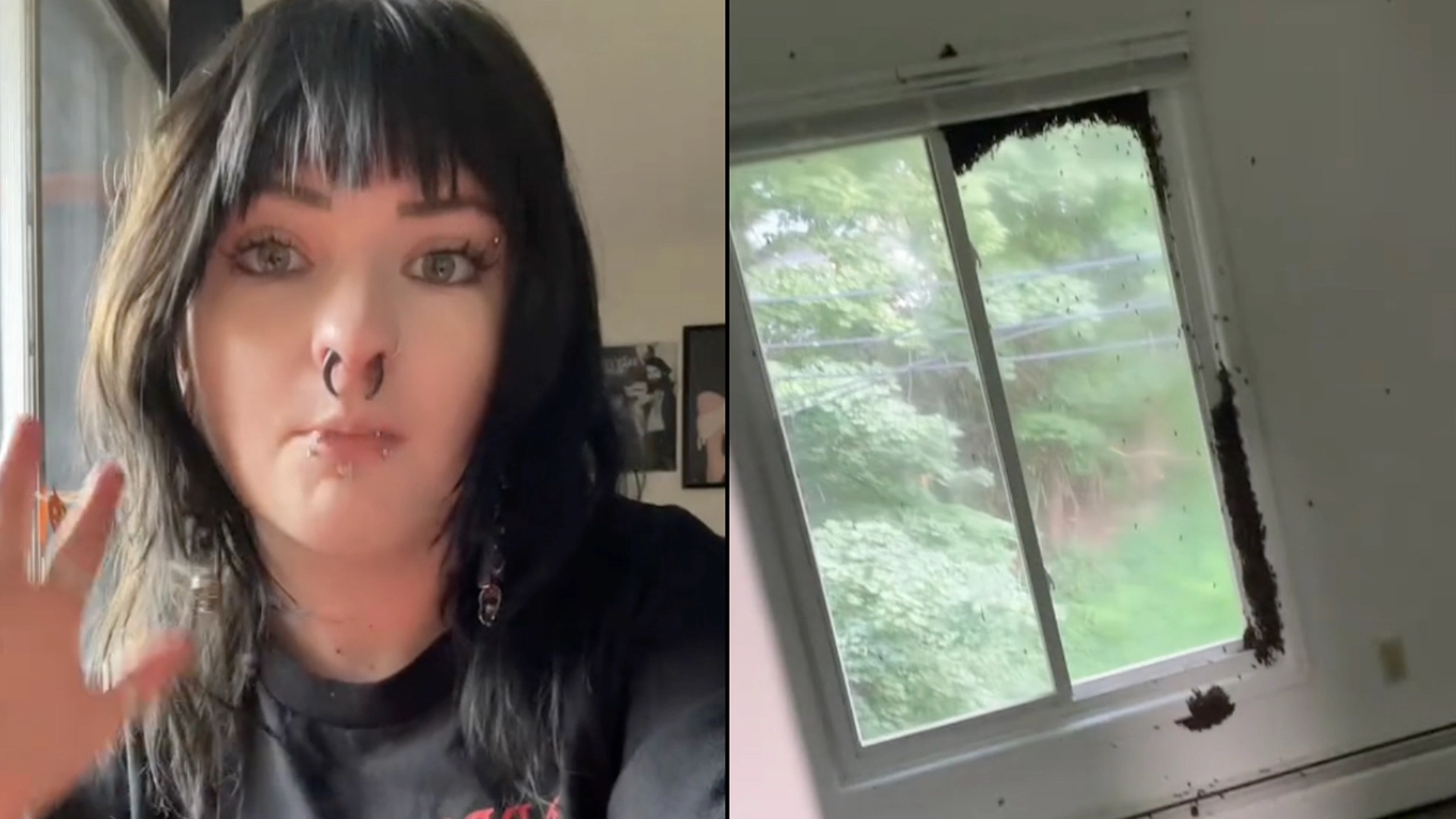 Par slog et stort hul i deres væg: Fik et gigantisk chok over, hvad der væltede ud