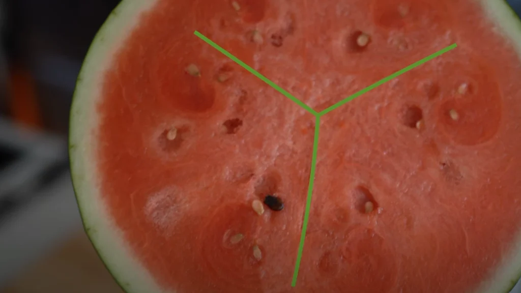 Skær din vandmelon ud på følgende måde: Kernerne kan fjernes med et snuptag