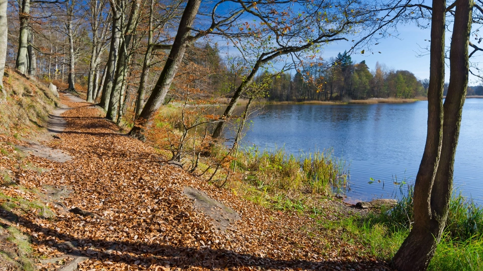 4 fantastiske steder du kan gå dine efterårs vandreture i Danmark