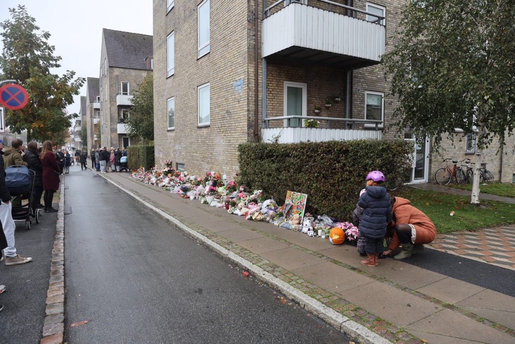 Vanvidsbilist risikerer kun to års fængsel efter drab på femårig