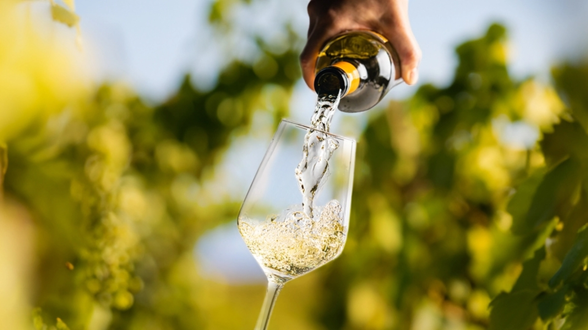 Her er sandheden om at drikke et glas vin om dagen