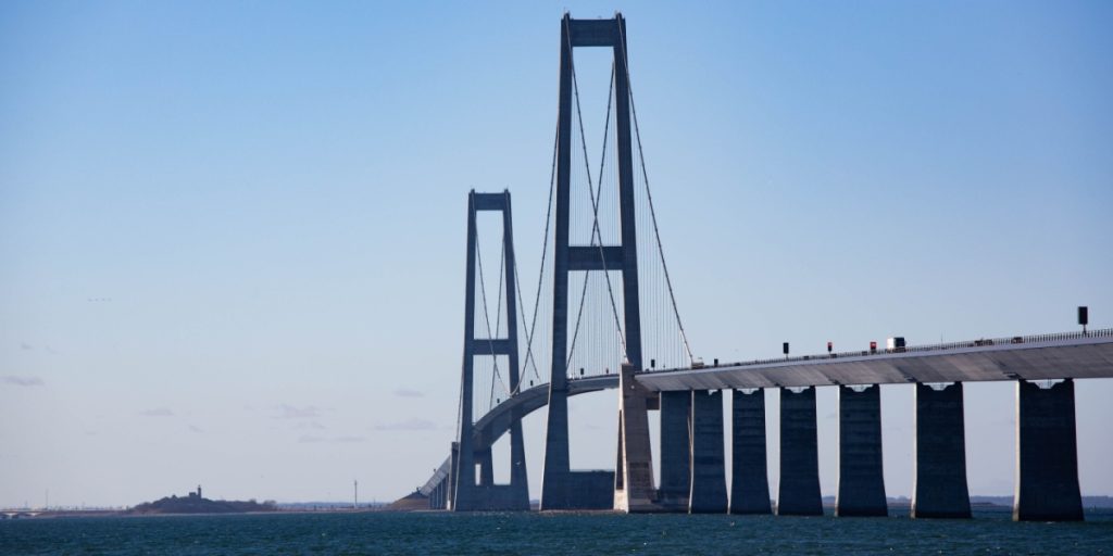 Fremmed og farlig dyr fundet i dansk farvand: “Den er ekstremt giftig”