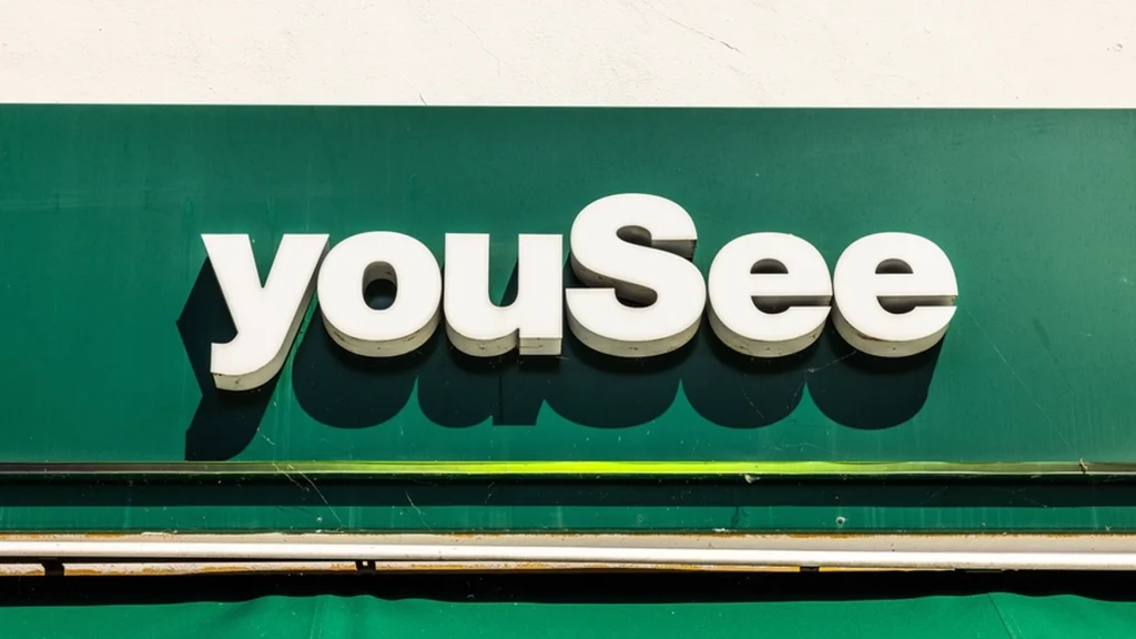 Bekymrende besked fra YouSee: Det sker hver dag
