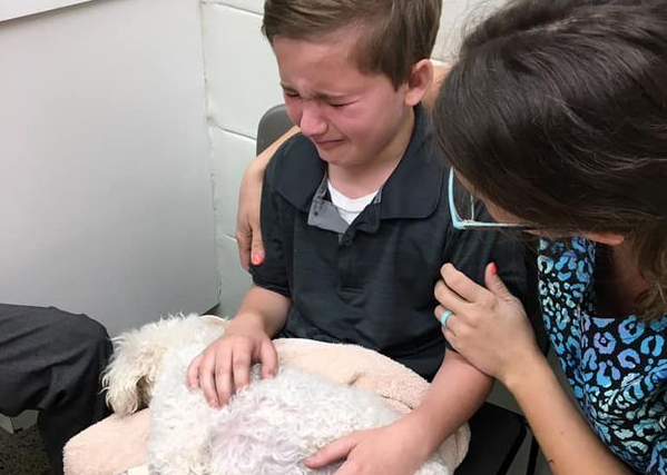 Familiens hund skal aflives – Så siger adoptivsønnen noget som får alle til at stoppe op