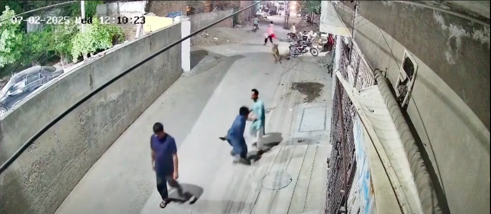 Løve angriber kvinde og to børn: Nu er ejerne anholdt