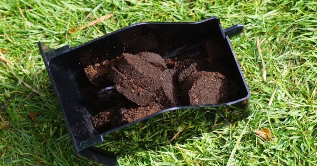 Smid aldrig din kaffegrums ud igen. Disse planter elsker dem i al hemmelighed.