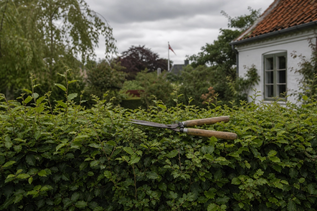 Eksperter ændrer havekalenderen: Vent med hækken til efter sankthans