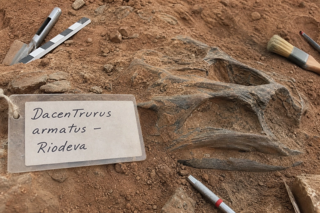 150 millioner år gammelt kranium fundet i Spanien: Stegosaur-historien skal skrives om