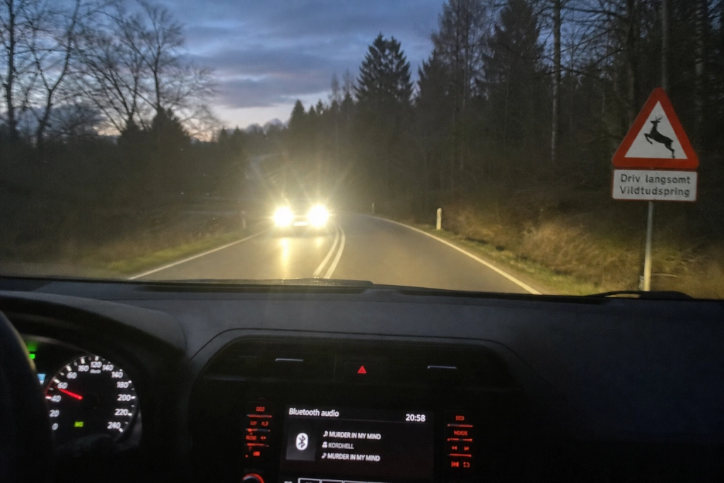 Hjortepåkørsler eksploderer: 2026 har allerede slået rekordåret