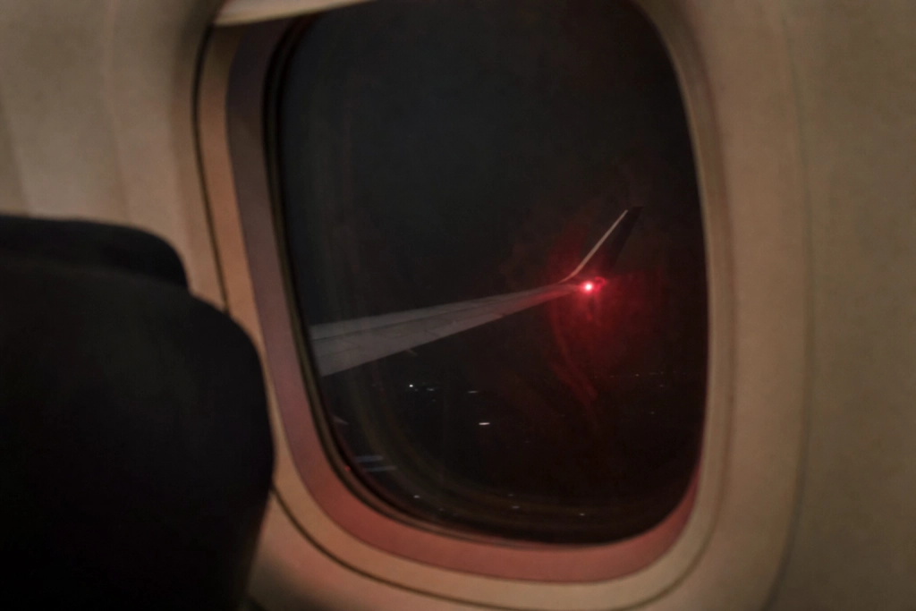 Flyet var på vej fra Egypten til London - så fandt besætningen ud af hvad én passager havde i kufferten