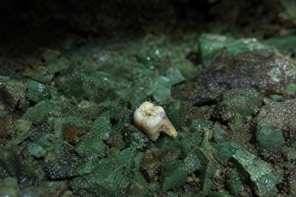 En mælketand og nogle grønne sten afslørede et 5.500 år gammelt mysterium i bjergene