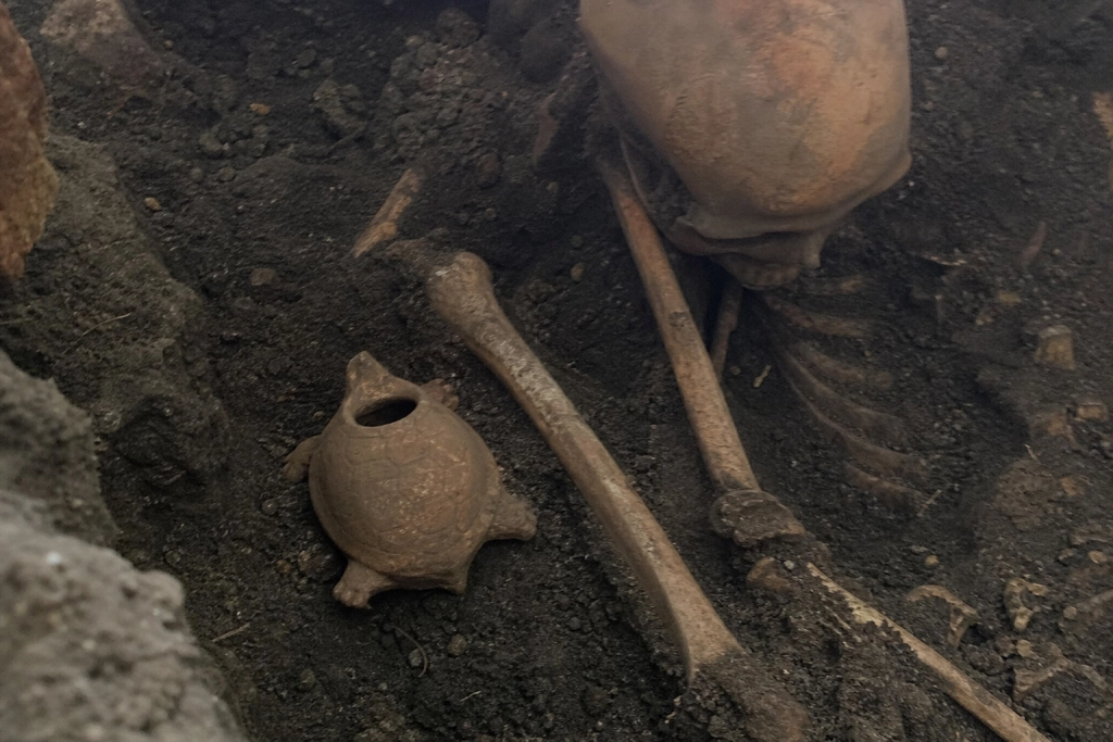 Begravet ansigt nedad med en søskildpadde ved siden: 3.000 år gammel gåde forvirrer arkæologerne