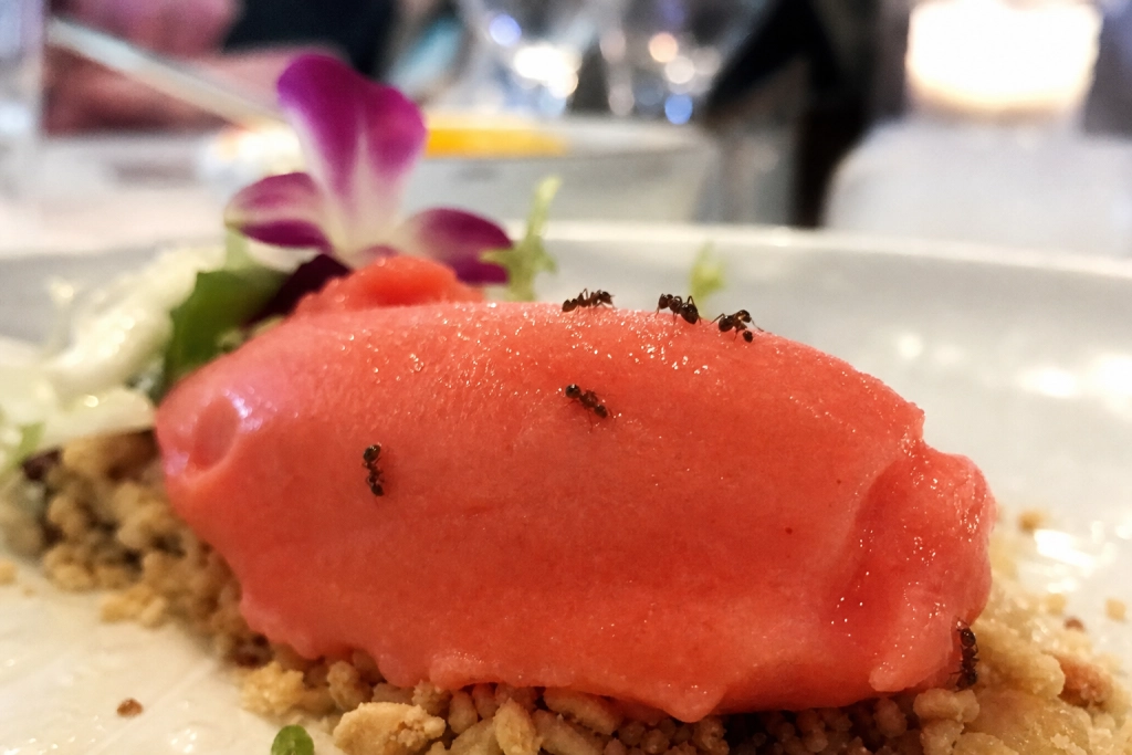 To Michelin-stjerner gjorde ham til stjernekok: Nu kan en enkelt dessert sende ham i fængsel