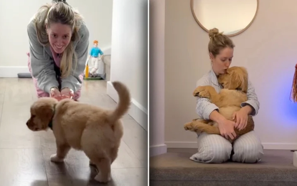 Kvinde skaffede sig golden retriever, og løb ind i problemer, hun ikke havde regnet med