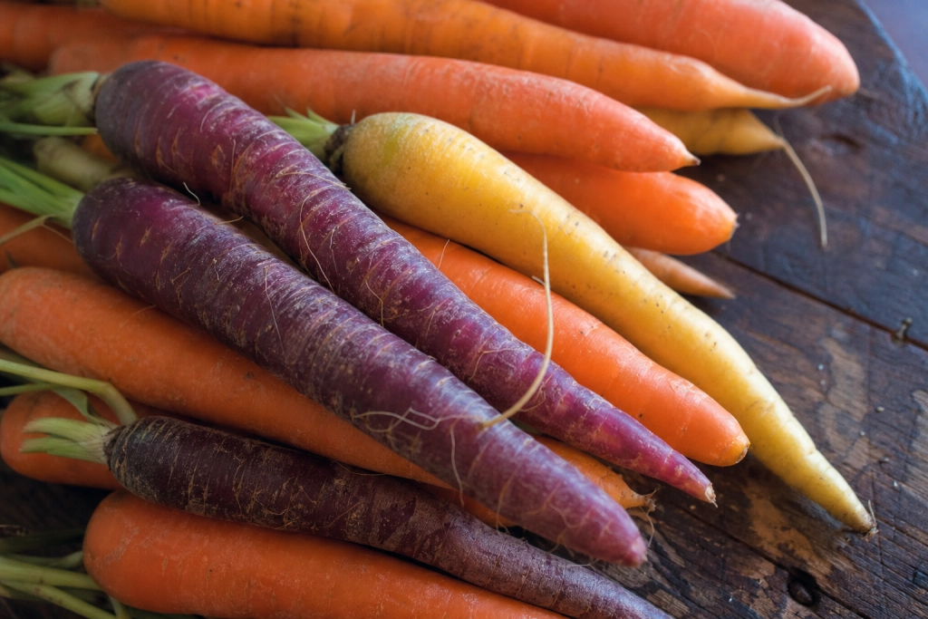 Hvorfor er nogle gulerødder lilla og gule i stedet for orange?