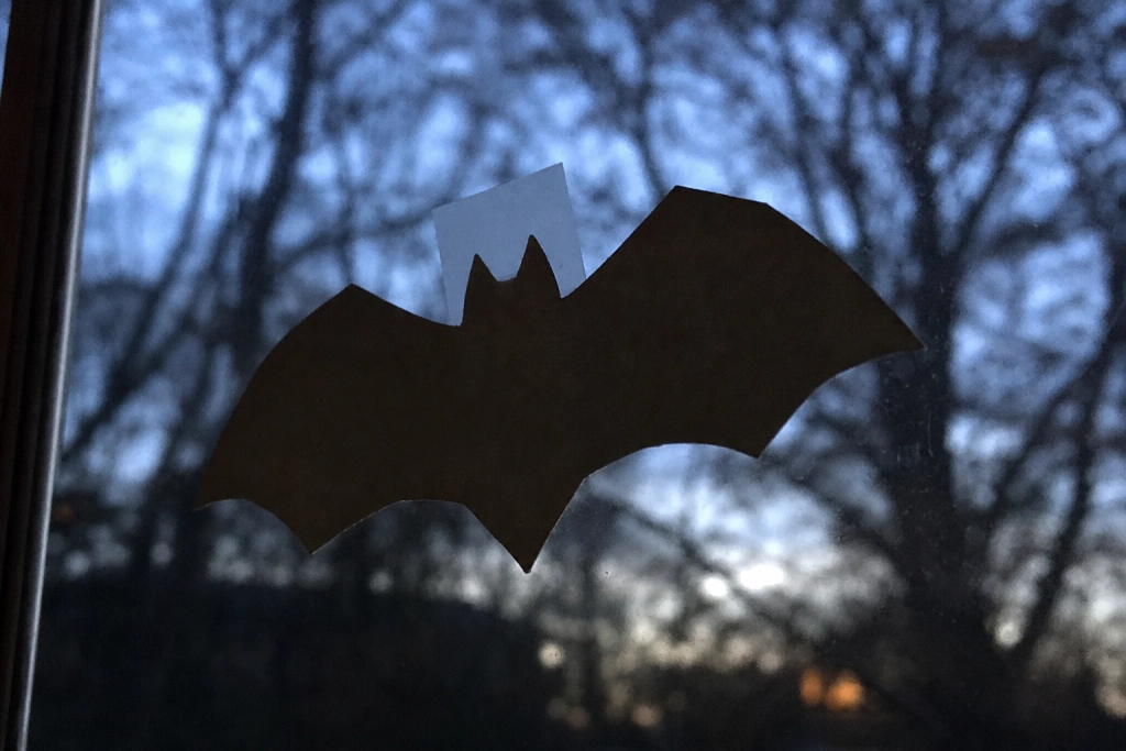 Nej, flagermus er ikke blinde: Her er sandheden om Halloweens klassiske dyr